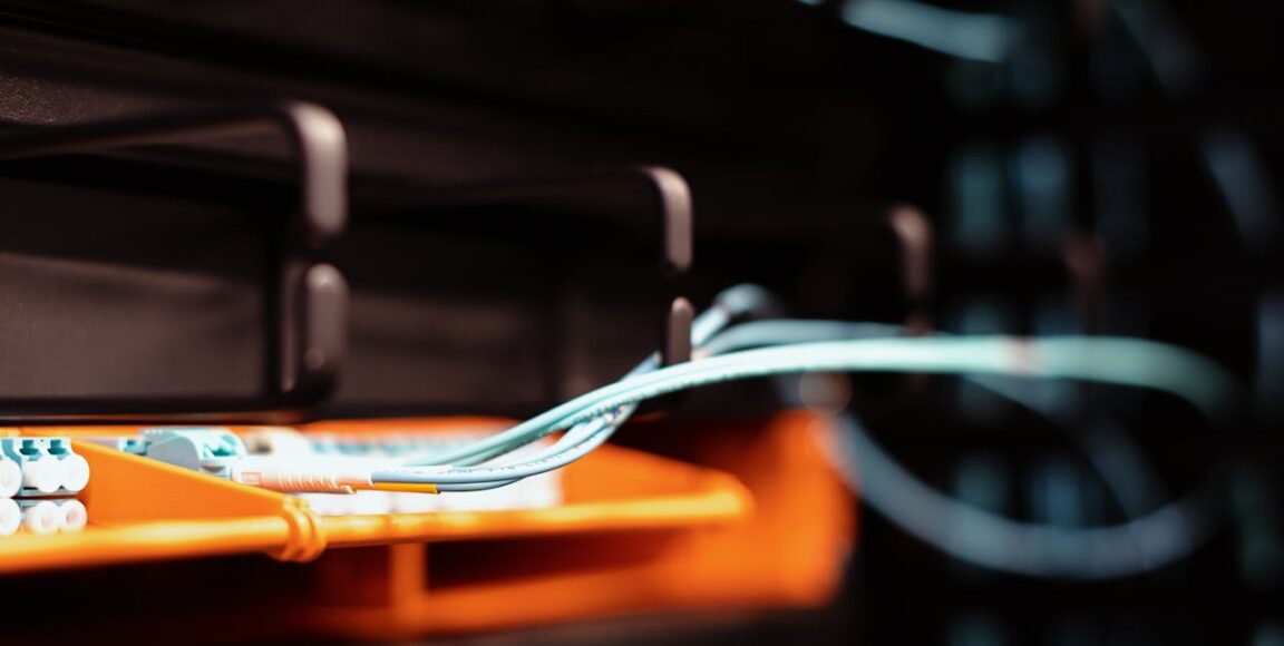 Netia internet jako element strategii domowej cyfryzacji