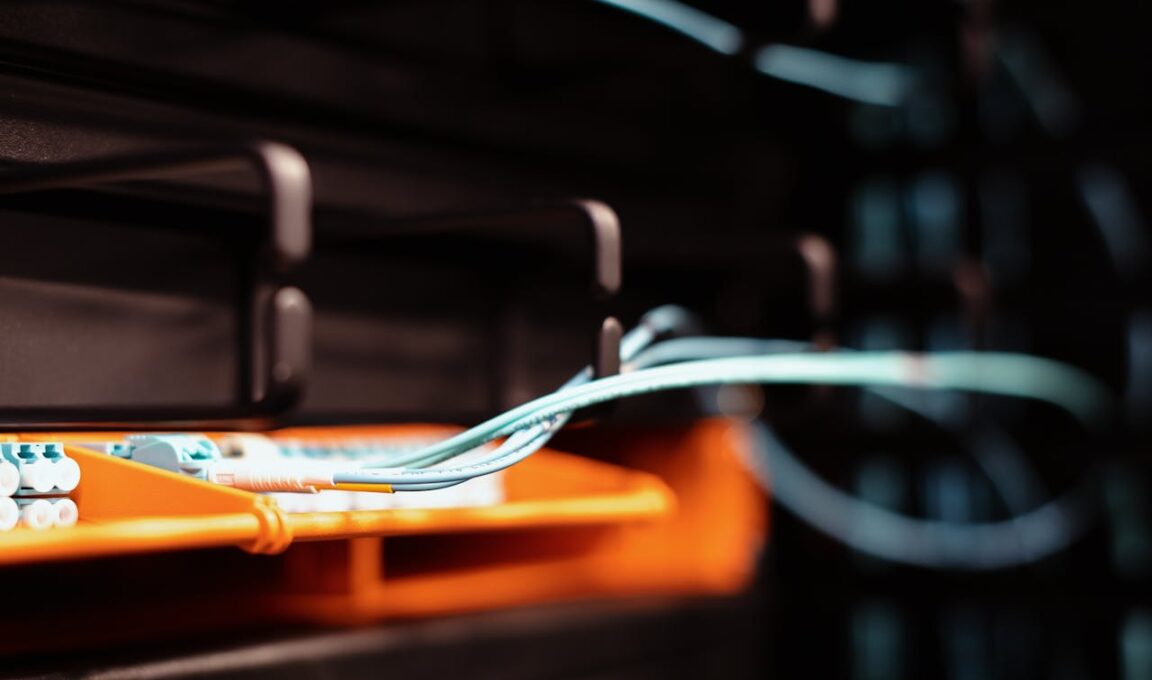 Netia internet jako element strategii domowej cyfryzacji